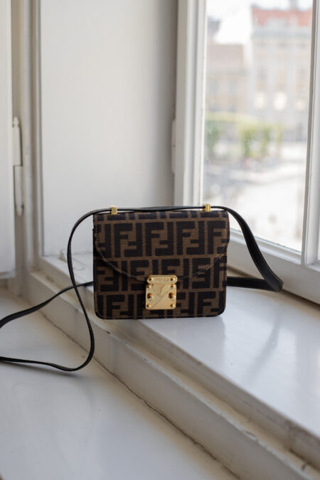 Fendi, Zucca Canvas Mini
